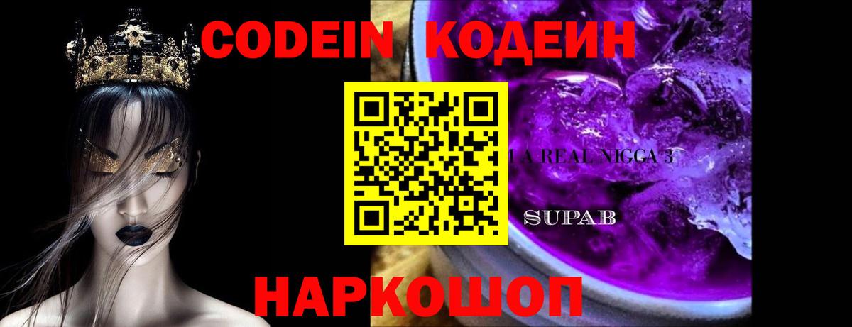 Камень-на-Оби  купить наркоту  Вход с VPN  Codein Purple Drank  Codein напиток Lean (лин) 