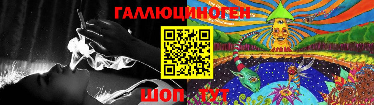 Камень-на-Оби  Галлюциногенные грибы MAGIC MUSHROOMS  Вход с VPN  Галлюциногенные грибы прущие грибы 